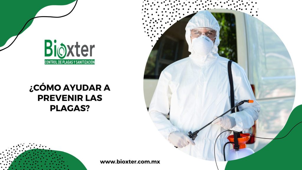 Cómo ayudar a prevenir las plagas