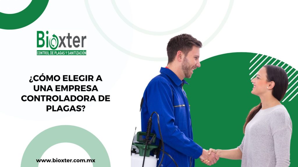 Cómo elegir a una empresa controladora de plagas